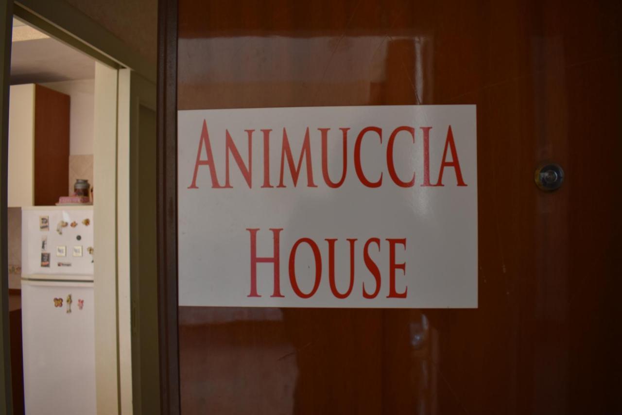 Casa Vacanze "Animuccia House" Roma Eksteriør billede